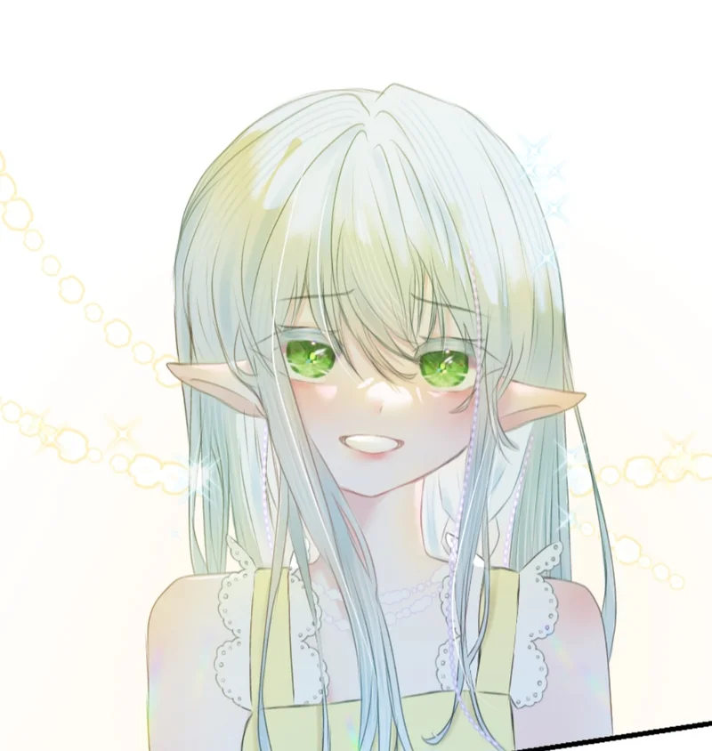 Pánh Mì  banner